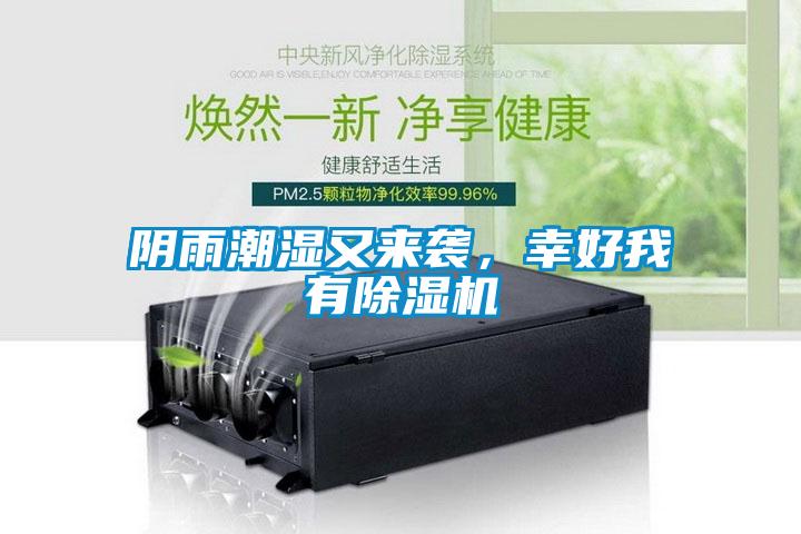 陰雨潮濕又來襲，幸好我有除濕機