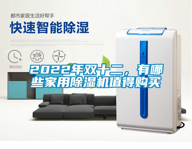 2022年雙十二，有哪些家用除濕機值得購買