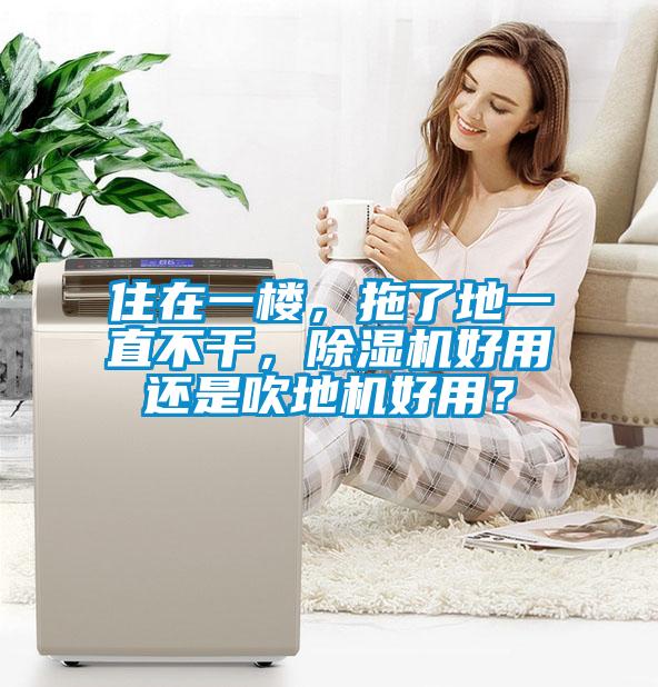 住在一樓，拖了地一直不干，除濕機好用還是吹地機好用？