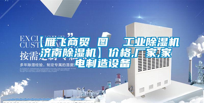 【雁飛商貿(mào) 圖  工業(yè)除濕機(jī) 濟(jì)南除濕機(jī)】?jī)r(jià)格,廠家,家電制造設(shè)備