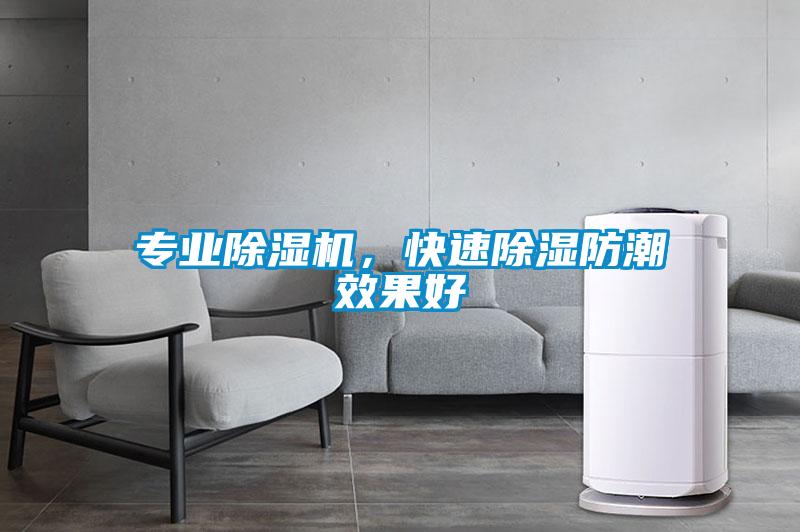 專業(yè)除濕機(jī)，快速除濕防潮效果好