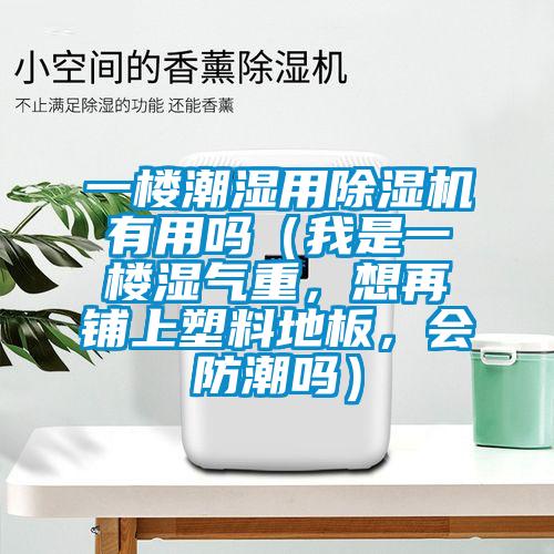 一樓潮濕用除濕機有用嗎（我是一樓濕氣重，想再鋪上塑料地板，會防潮嗎）