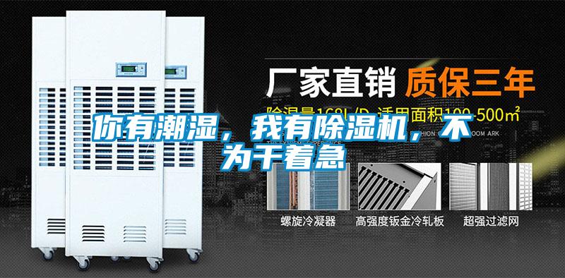 你有潮濕，我有除濕機(jī)，不為干著急