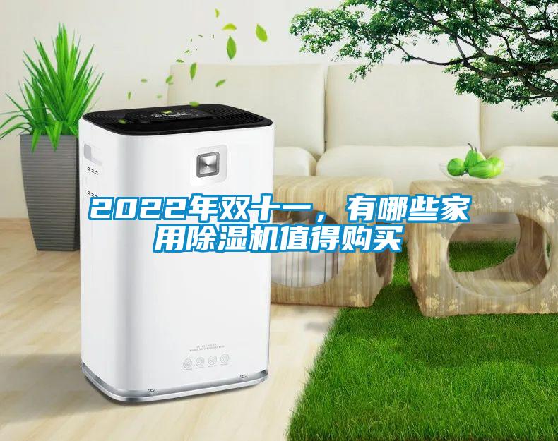 2022年雙十一，有哪些家用除濕機值得購買