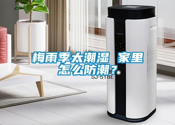 梅雨季太潮濕 家里怎么防潮？