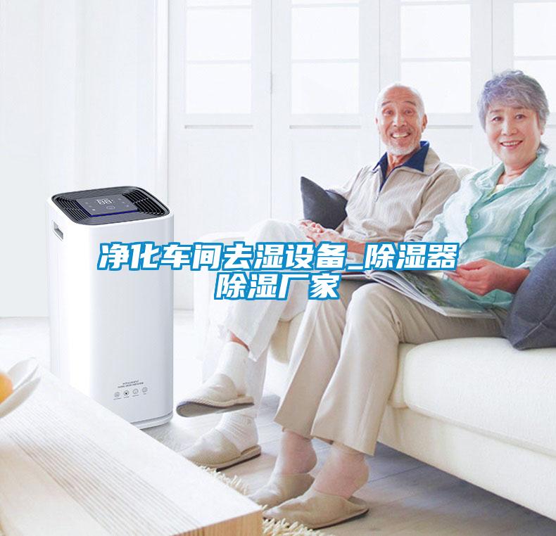 凈化車(chē)間去濕設(shè)備_除濕器除濕廠(chǎng)家