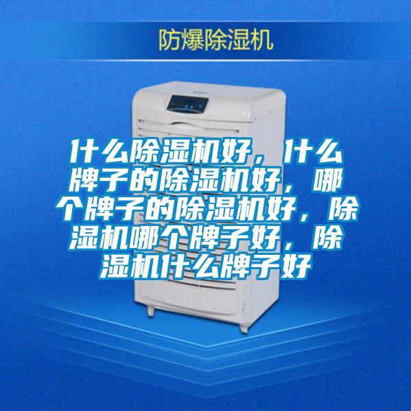 什么除濕機好，什么牌子的除濕機好，哪個牌子的除濕機好，除濕機哪個牌子好，除濕機什么牌子好