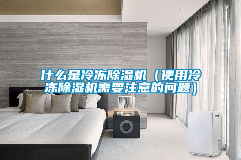 什么是冷凍除濕機(jī)（使用冷凍除濕機(jī)需要注意的問(wèn)題）