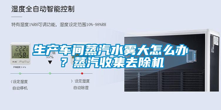 生產(chǎn)車間蒸汽水霧大怎么辦？蒸汽收集去除機(jī)