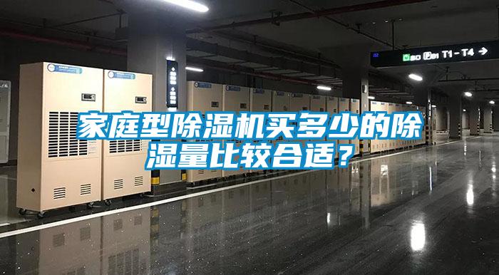 家庭型除濕機(jī)買(mǎi)多少的除濕量比較合適？