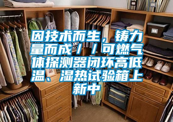 因技術(shù)而生，鑄力量而成／／可燃?xì)怏w探測(cè)器閉環(huán)高低溫、濕熱試驗(yàn)箱上新中