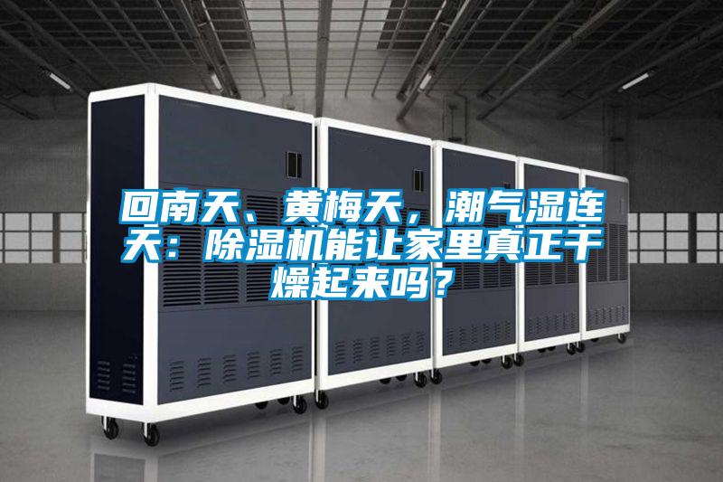 回南天、黃梅天，潮氣濕連天：除濕機(jī)能讓家里真正干燥起來嗎？