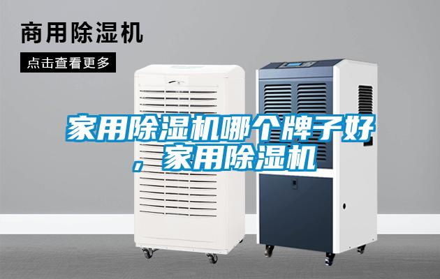 家用除濕機(jī)哪個(gè)牌子好，家用除濕機(jī)