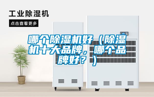 哪個除濕機好（除濕機十大品牌，哪個品牌好？）