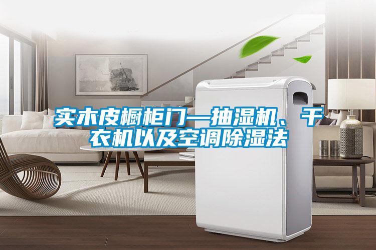 實(shí)木皮櫥柜門—抽濕機(jī)、干衣機(jī)以及空調(diào)除濕法