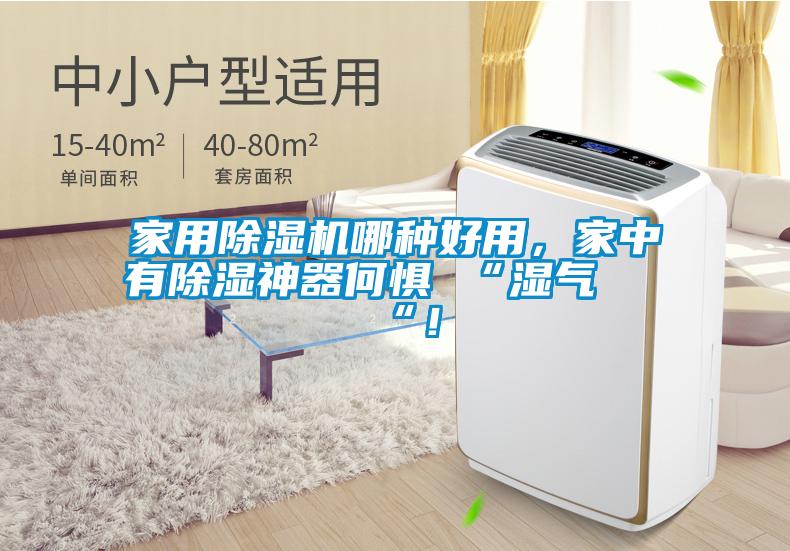 家用除濕機(jī)哪種好用，家中有除濕神器何懼 “濕氣 “！