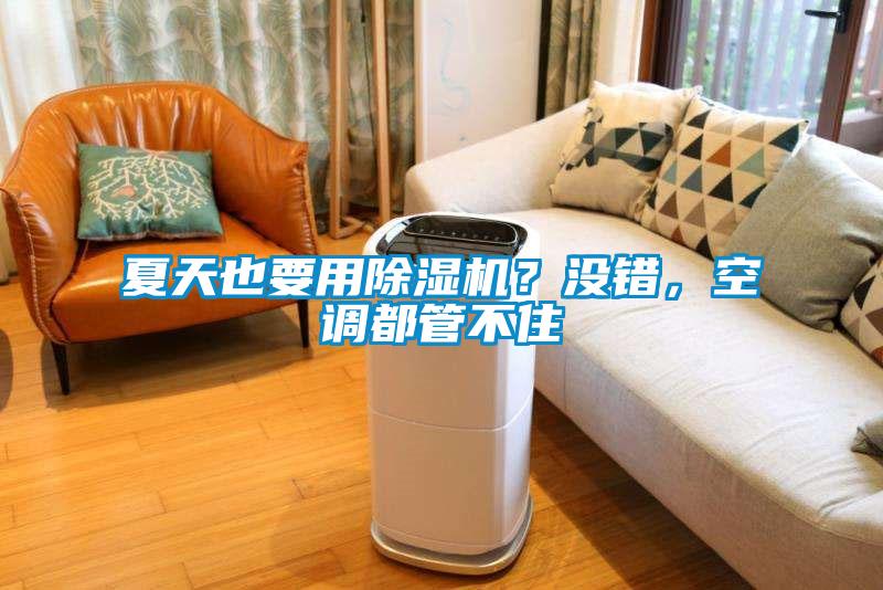 夏天也要用除濕機(jī)？沒錯(cuò)，空調(diào)都管不住
