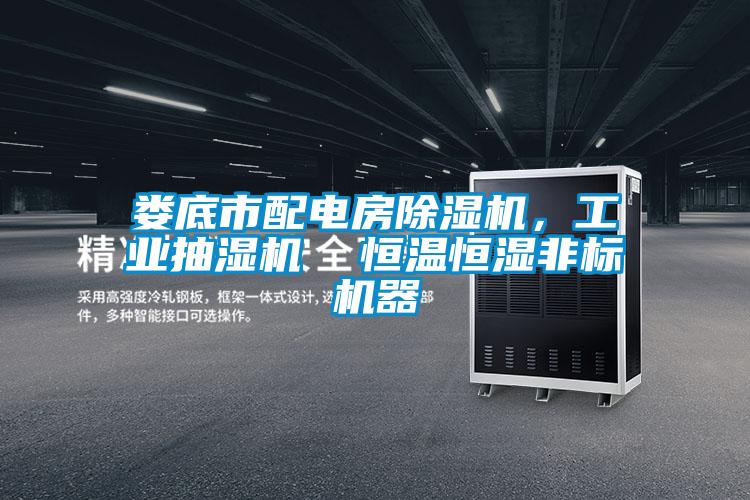 婁底市配電房除濕機(jī)，工業(yè)抽濕機(jī)  恒溫恒濕非標(biāo)機(jī)器