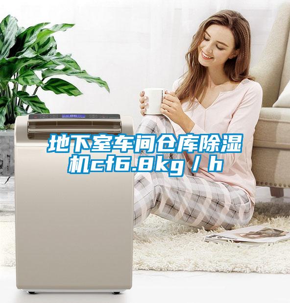 地下室車(chē)間倉(cāng)庫(kù)除濕機(jī)cf6.8kg／h