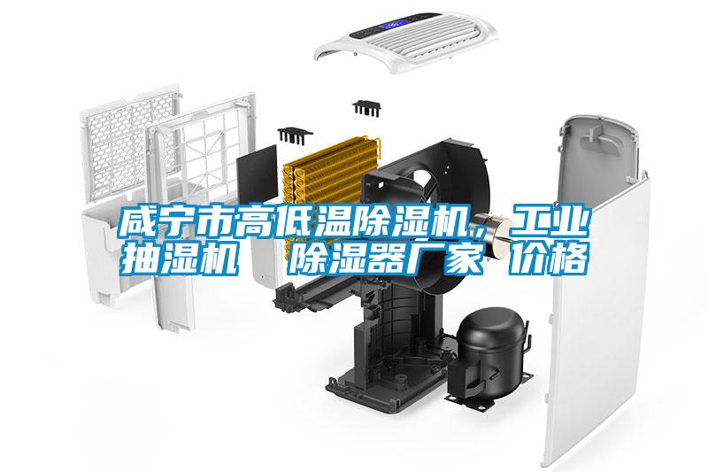 咸寧市高低溫除濕機(jī)，工業(yè)抽濕機(jī)  除濕器廠家 價(jià)格