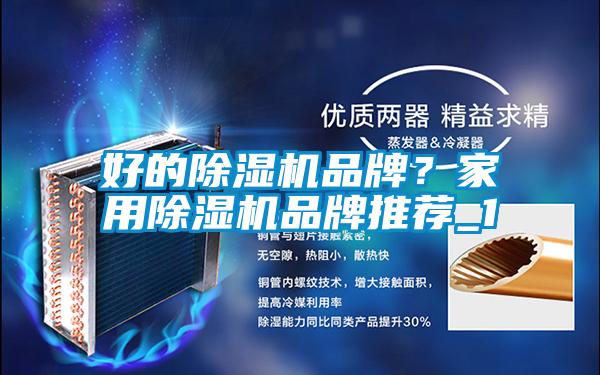 好的除濕機(jī)品牌？家用除濕機(jī)品牌推薦_1