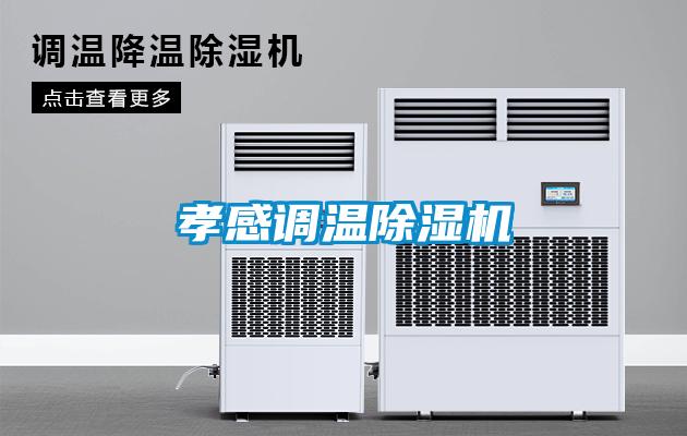 孝感調(diào)溫除濕機