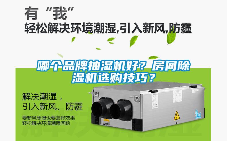 哪個品牌抽濕機好？房間除濕機選購技巧？