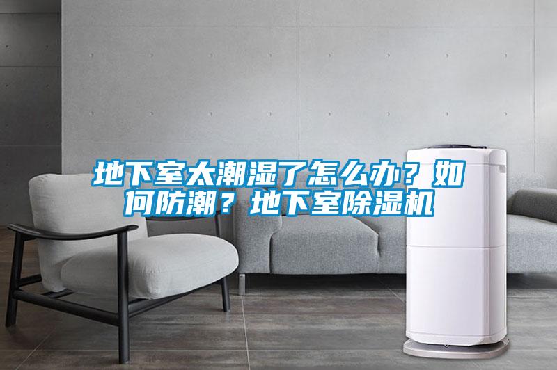 地下室太潮濕了怎么辦？如何防潮？地下室除濕機(jī)