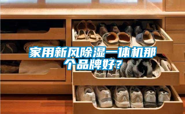 家用新風(fēng)除濕一體機(jī)那個(gè)品牌好？