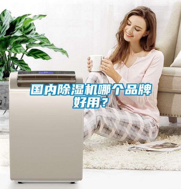 國內(nèi)除濕機哪個品牌好用？