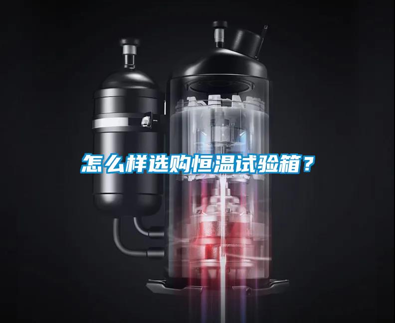 怎么樣選購恒溫試驗箱？