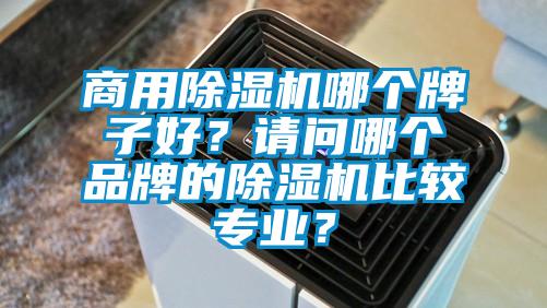 商用除濕機(jī)哪個(gè)牌子好？請(qǐng)問(wèn)哪個(gè)品牌的除濕機(jī)比較專業(yè)？