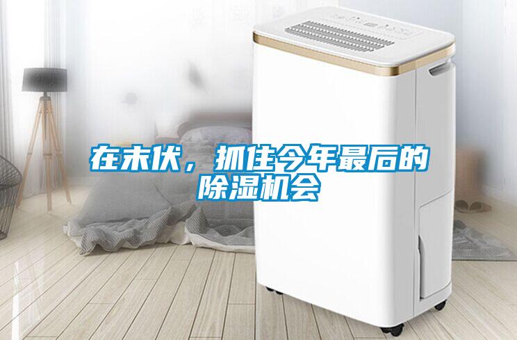 在末伏，抓住今年最后的除濕機(jī)會(huì)