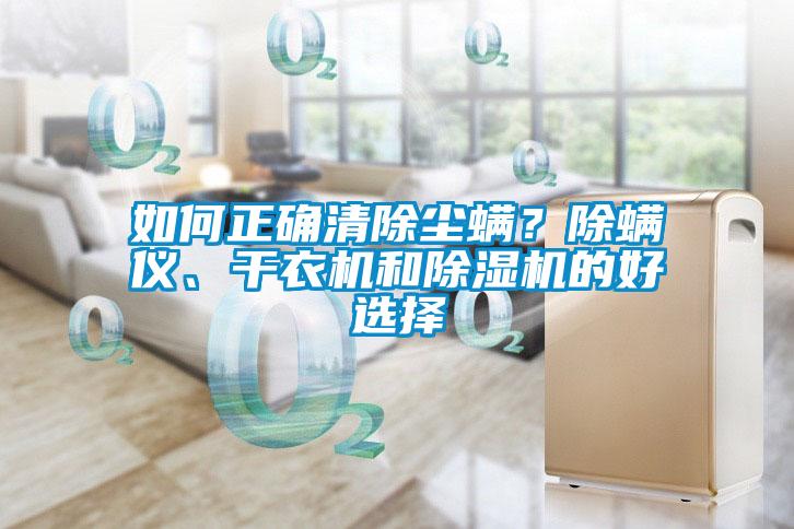 如何正確清除塵螨？除螨儀、干衣機和除濕機的好選擇