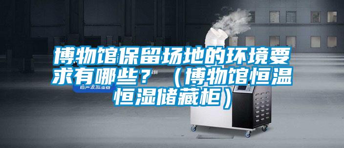 博物館保留場地的環(huán)境要求有哪些？（博物館恒溫恒濕儲藏柜）