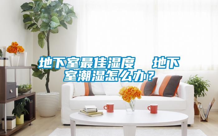 地下室最佳濕度  地下室潮濕怎么辦？