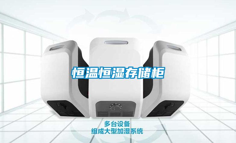 恒溫恒濕存儲(chǔ)柜