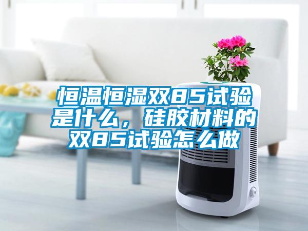 恒溫恒濕雙85試驗(yàn)是什么，硅膠材料的雙85試驗(yàn)怎么做