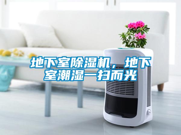 地下室除濕機(jī)，地下室潮濕一掃而光