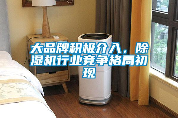 大品牌積極介入，除濕機行業(yè)競爭格局初現(xiàn)