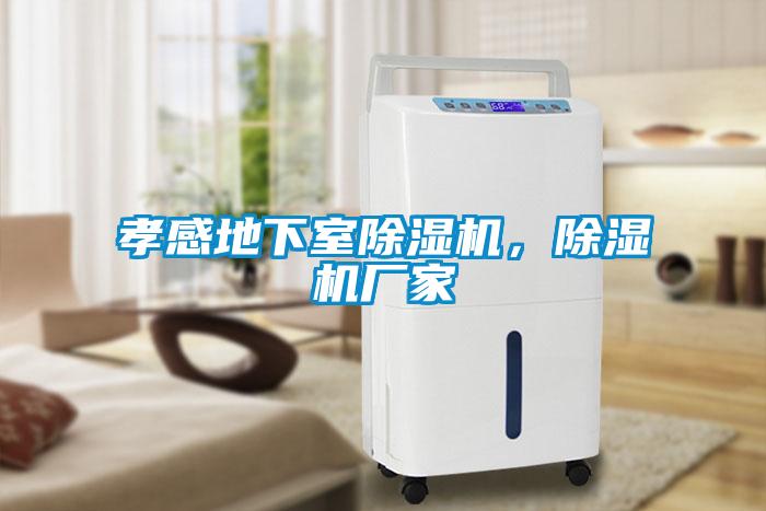 孝感地下室除濕機，除濕機廠家
