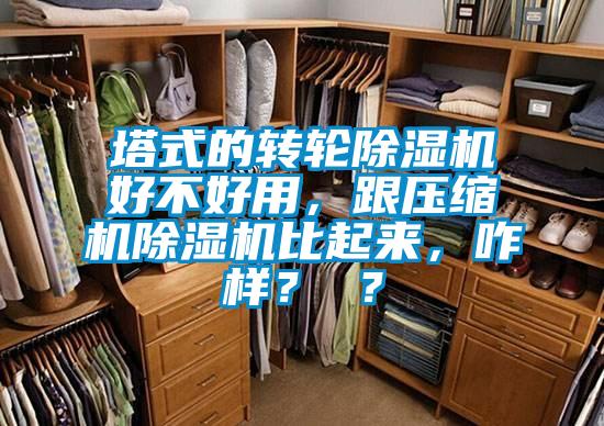塔式的轉(zhuǎn)輪除濕機(jī)好不好用，跟壓縮機(jī)除濕機(jī)比起來，咋樣？ ？