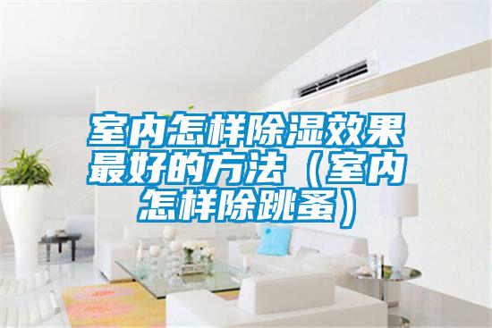 室內(nèi)怎樣除濕效果最好的方法（室內(nèi)怎樣除跳蚤）