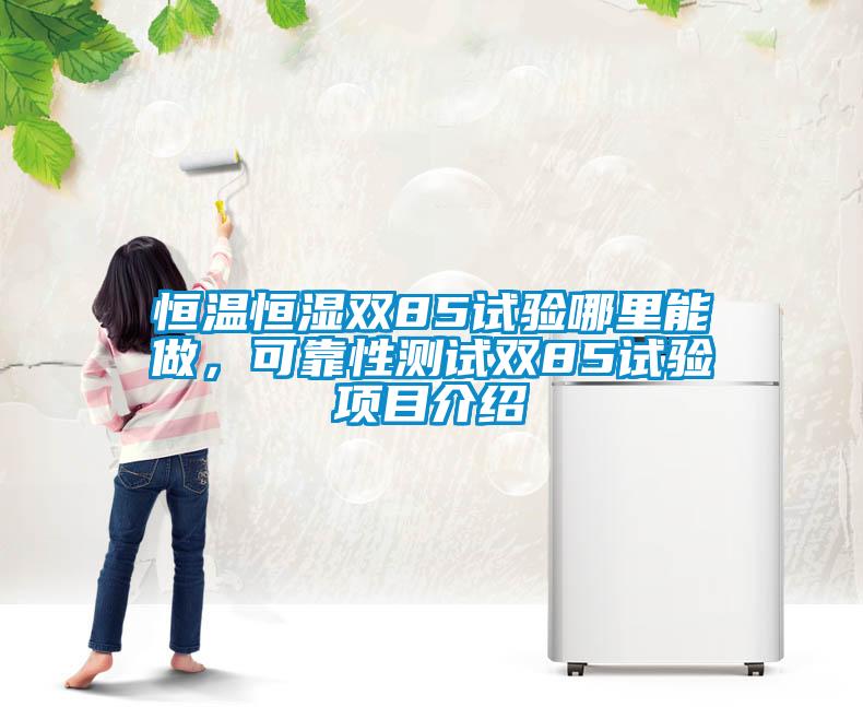 恒溫恒濕雙85試驗?zāi)睦锬茏?，可靠性測試雙85試驗項目介紹