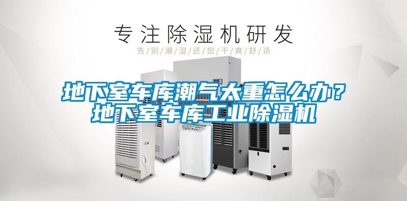 地下室車庫潮氣太重怎么辦？地下室車庫工業(yè)除濕機(jī)