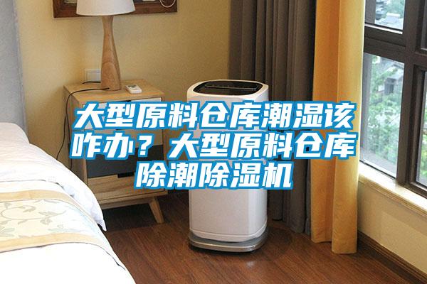 大型原料倉庫潮濕該咋辦？大型原料倉庫除潮除濕機(jī)
