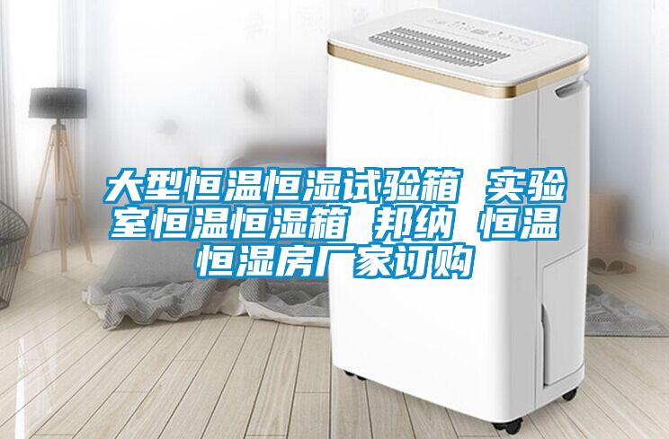 大型恒溫恒濕試驗(yàn)箱 實(shí)驗(yàn)室恒溫恒濕箱 邦納 恒溫恒濕房廠家訂購