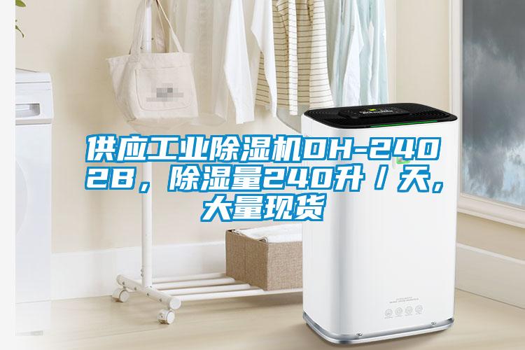 供應(yīng)工業(yè)除濕機(jī)DH-2402B，除濕量240升／天，大量現(xiàn)貨