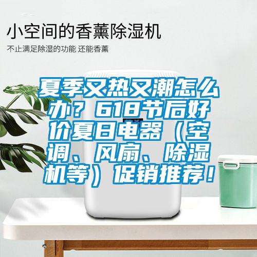 夏季又熱又潮怎么辦？618節(jié)后好價夏日電器（空調(diào)、風(fēng)扇、除濕機(jī)等）促銷推薦！