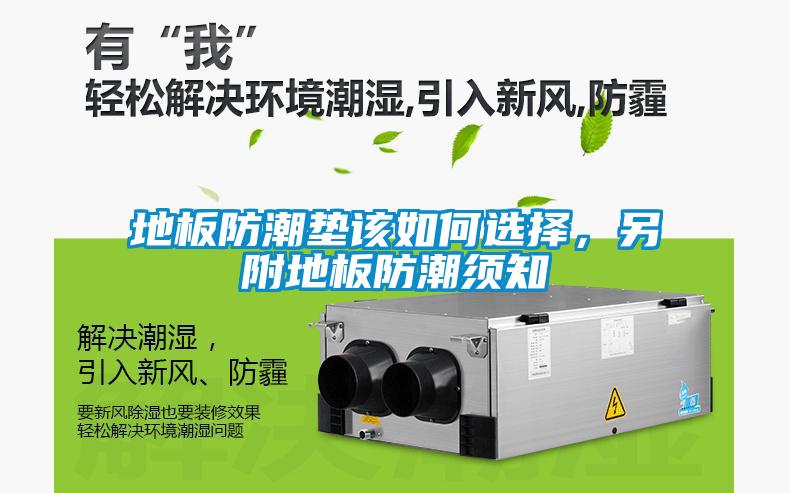 地板防潮墊該如何選擇，另附地板防潮須知